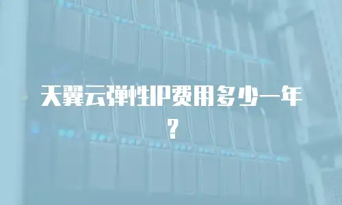 天翼云弹性IP费用多少一年？