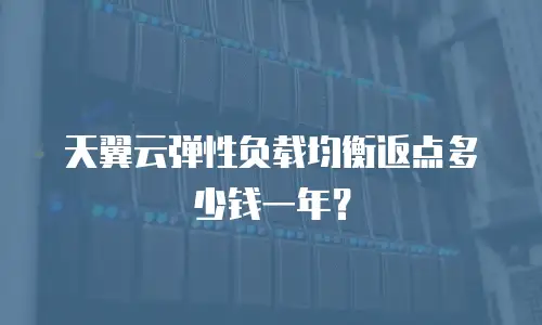 天翼云弹性负载均衡返点多少钱一年？