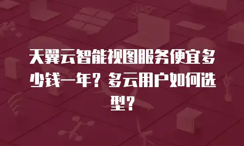 天翼云智能视图服务便宜多少钱一年？多云用户如何选型？