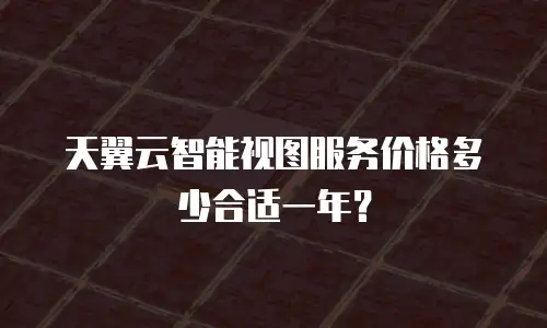 天翼云智能视图服务价格多少合适一年？