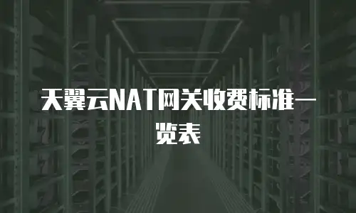 天翼云NAT网关收费标准一览表