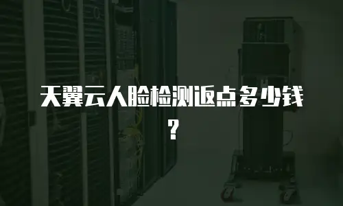 天翼云人脸检测返点多少钱？