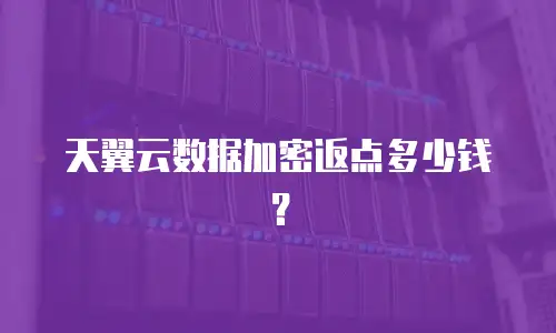 天翼云数据加密返点多少钱？