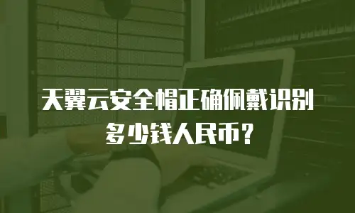 天翼云安全帽正确佩戴识别多少钱人民币？