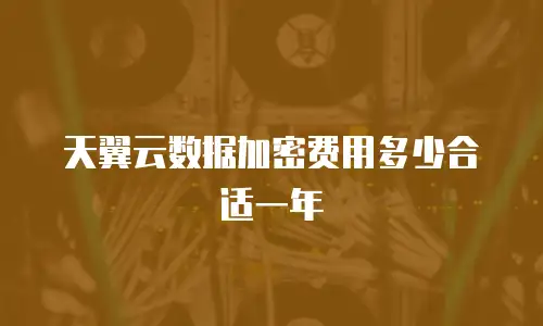 天翼云数据加密费用多少合适一年