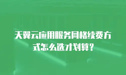 天翼云应用服务网格续费方式怎么选才划算？