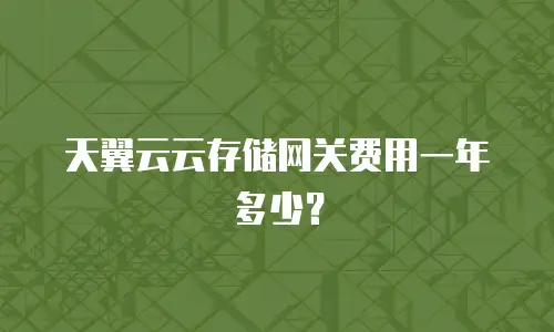 天翼云云存储网关费用一年多少？