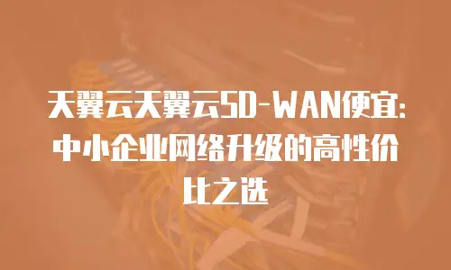 天翼云天翼云SD-WAN便宜：中小企业网络升级的高性价比之选