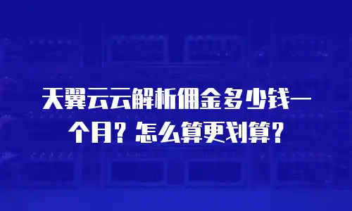 天翼云云解析佣金多少钱一个月？怎么算更划算？