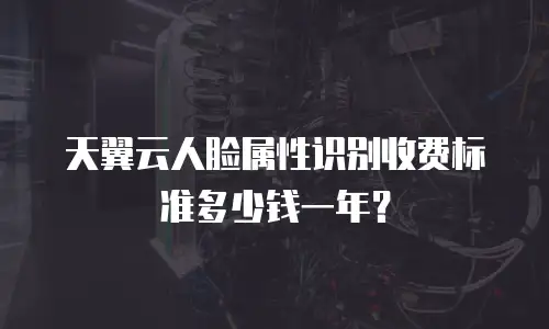 天翼云人脸属性识别收费标准多少钱一年？