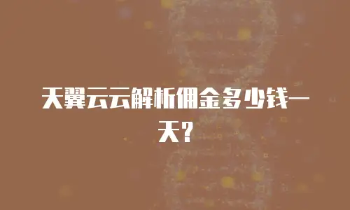 天翼云云解析佣金多少钱一天？