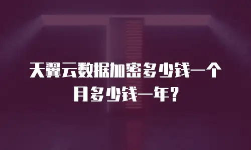 天翼云数据加密多少钱一个月多少钱一年？