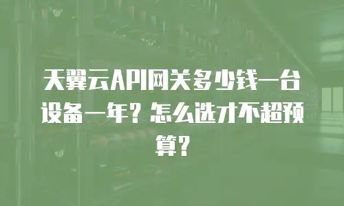 天翼云API网关多少钱一台设备一年？怎么选才不超预算？