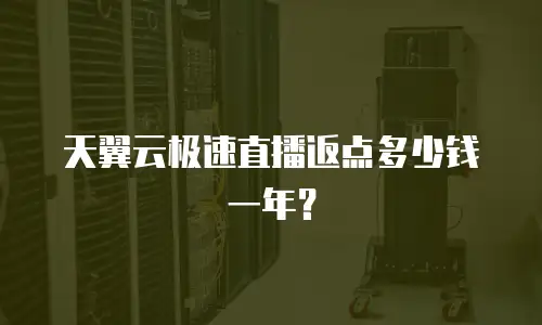 天翼云极速直播返点多少钱一年？