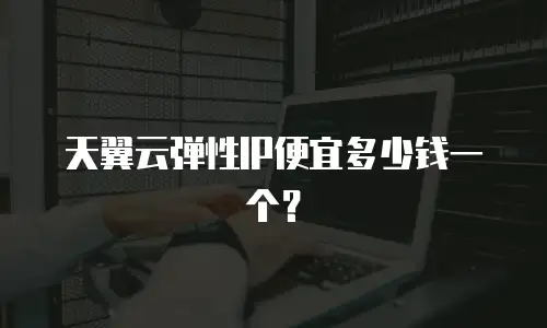 天翼云弹性IP便宜多少钱一个？