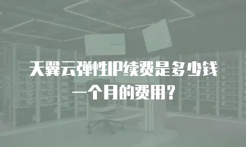 天翼云弹性IP续费是多少钱一个月的费用？