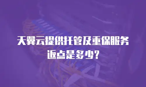 天翼云提供托管及重保服务返点是多少？