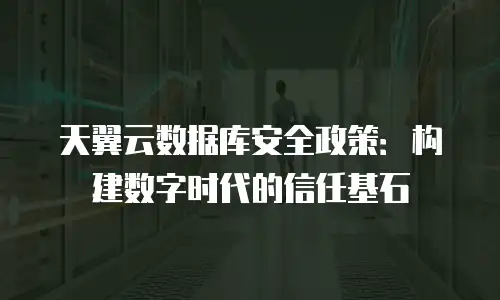 天翼云数据库安全政策：构建数字时代的信任基石