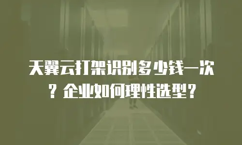 天翼云打架识别多少钱一次？企业如何理性选型？
