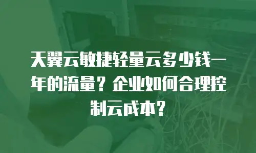 天翼云敏捷轻量云多少钱一年的流量？企业如何合理控制云成本？