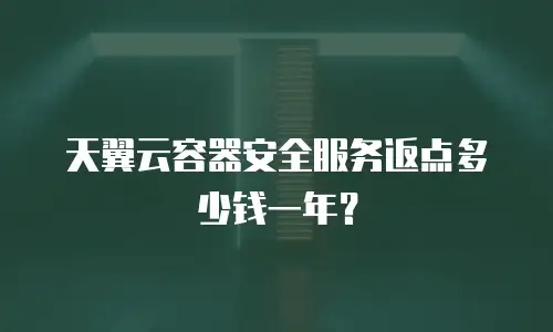 天翼云容器安全服务返点多少钱一年？