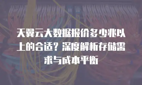 天翼云大数据报价多少兆以上的合适？深度解析存储需求与成本平衡