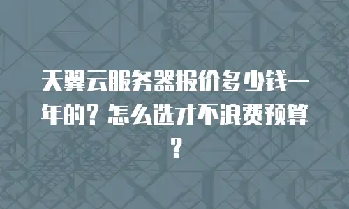 天翼云服务器报价多少钱一年的？怎么选才不浪费预算？