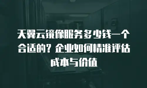 天翼云镜像服务多少钱一个合适的？企业如何精准评估成本与价值