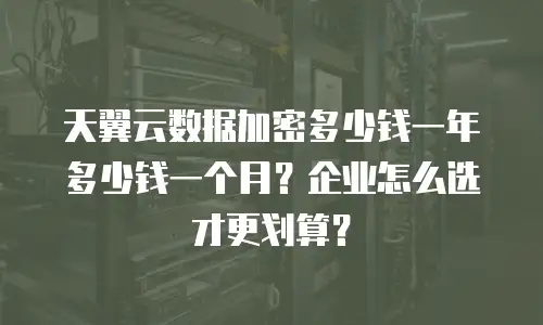 天翼云数据加密多少钱一年多少钱一个月？企业怎么选才更划算？
