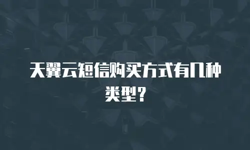 天翼云短信购买方式有几种类型？