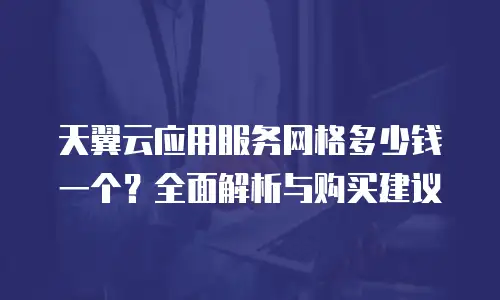 天翼云应用服务网格多少钱一个？全面解析与购买建议