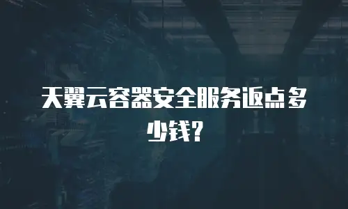 天翼云容器安全服务返点多少钱？