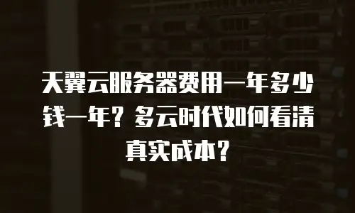 天翼云服务器费用一年多少钱一年？多云时代如何看清真实成本？