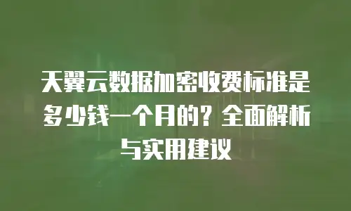 天翼云数据加密收费标准是多少钱一个月的？全面解析与实用建议