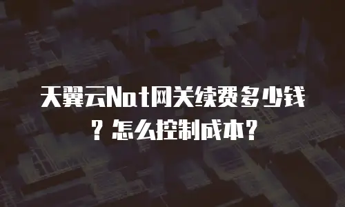 天翼云Nat网关续费多少钱？怎么控制成本？