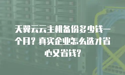 天翼云云主机备份多少钱一个月？真实企业怎么选才省心又省钱？