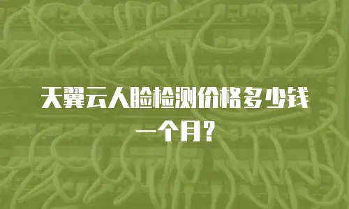 天翼云人脸检测价格多少钱一个月？