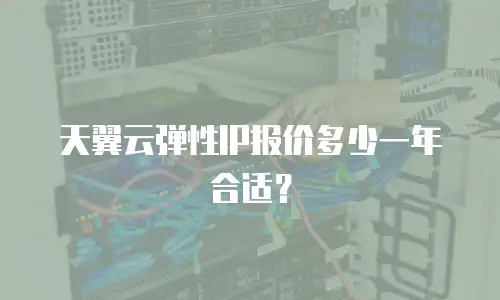 天翼云弹性IP报价多少一年合适？