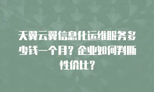 天翼云翼信息化运维服务多少钱一个月？企业如何判断性价比？