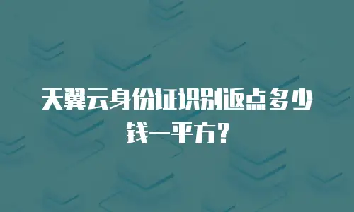 天翼云身份证识别返点多少钱一平方？