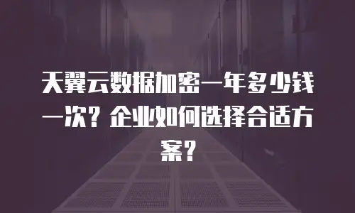 天翼云数据加密一年多少钱一次？企业如何选择合适方案？