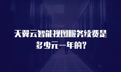 天翼云智能视图服务续费是多少元一年的？