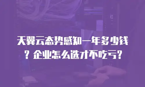 天翼云态势感知一年多少钱？企业怎么选才不吃亏？
