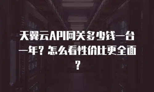 天翼云API网关多少钱一台一年？怎么看性价比更全面？