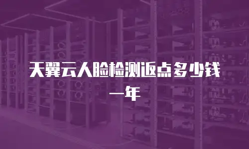 天翼云人脸检测返点多少钱一年