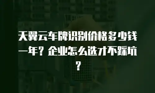 天翼云车牌识别价格多少钱一年？企业怎么选才不踩坑？