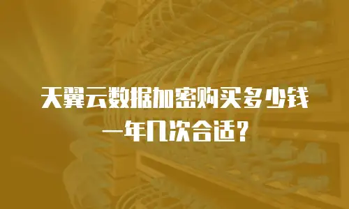 天翼云数据加密购买多少钱一年几次合适？