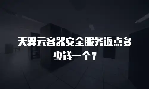 天翼云容器安全服务返点多少钱一个？