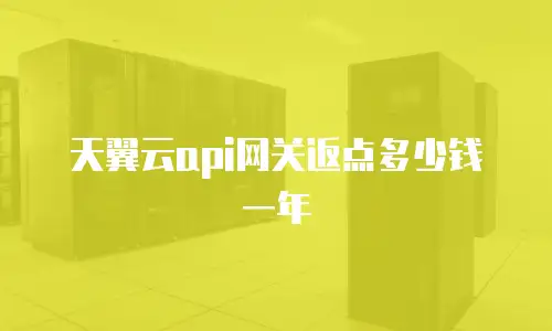 天翼云api网关返点多少钱一年