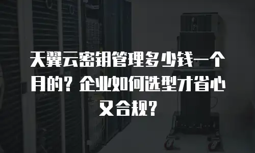 天翼云密钥管理多少钱一个月的？企业如何选型才省心又合规？
